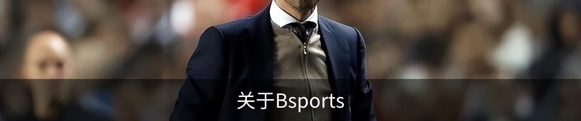 关于Bsports